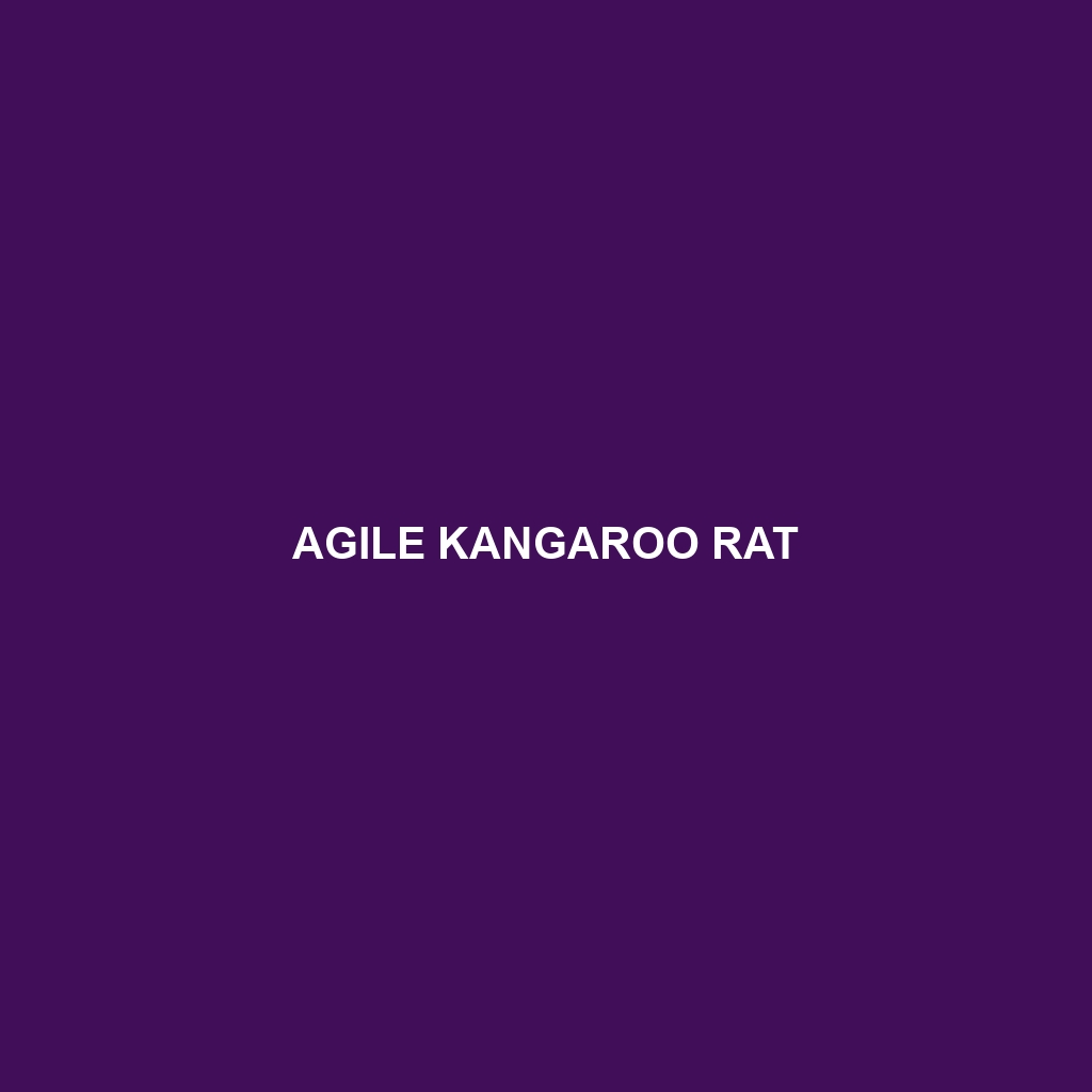 Agile Kangaroo Rat