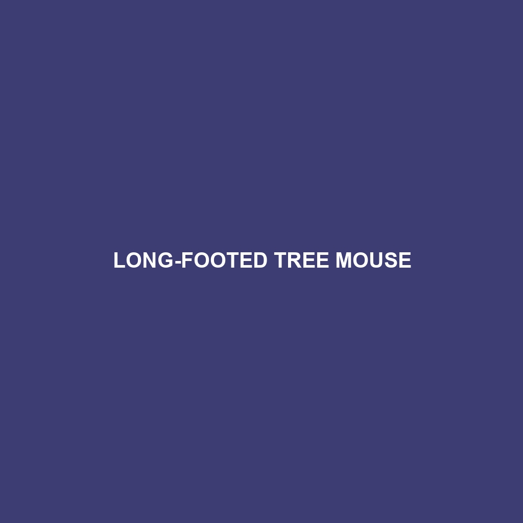 Long-footed Tree Mouse