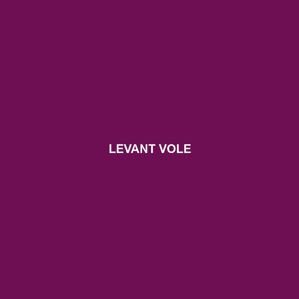 Levant Vole