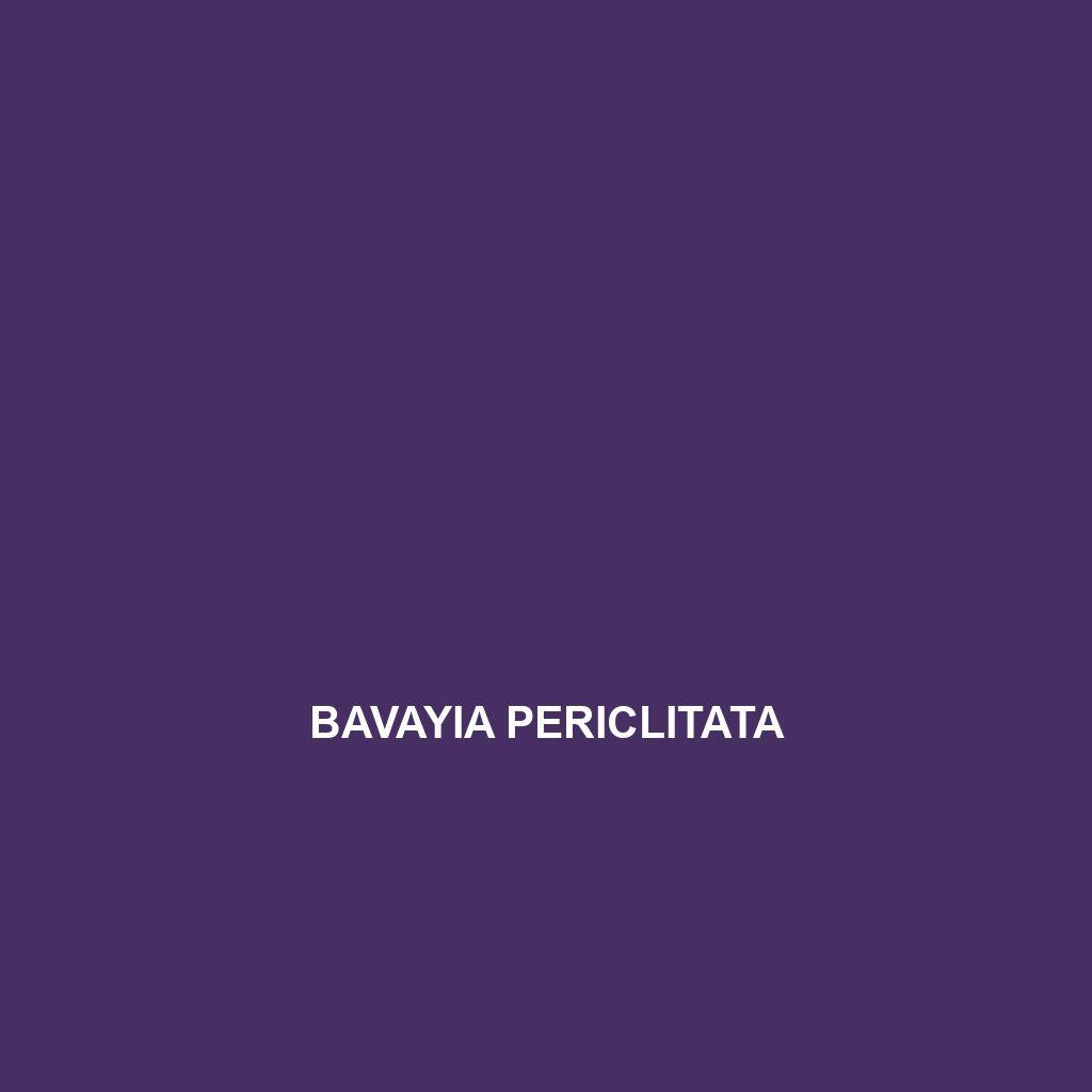 Bavayia periclitata