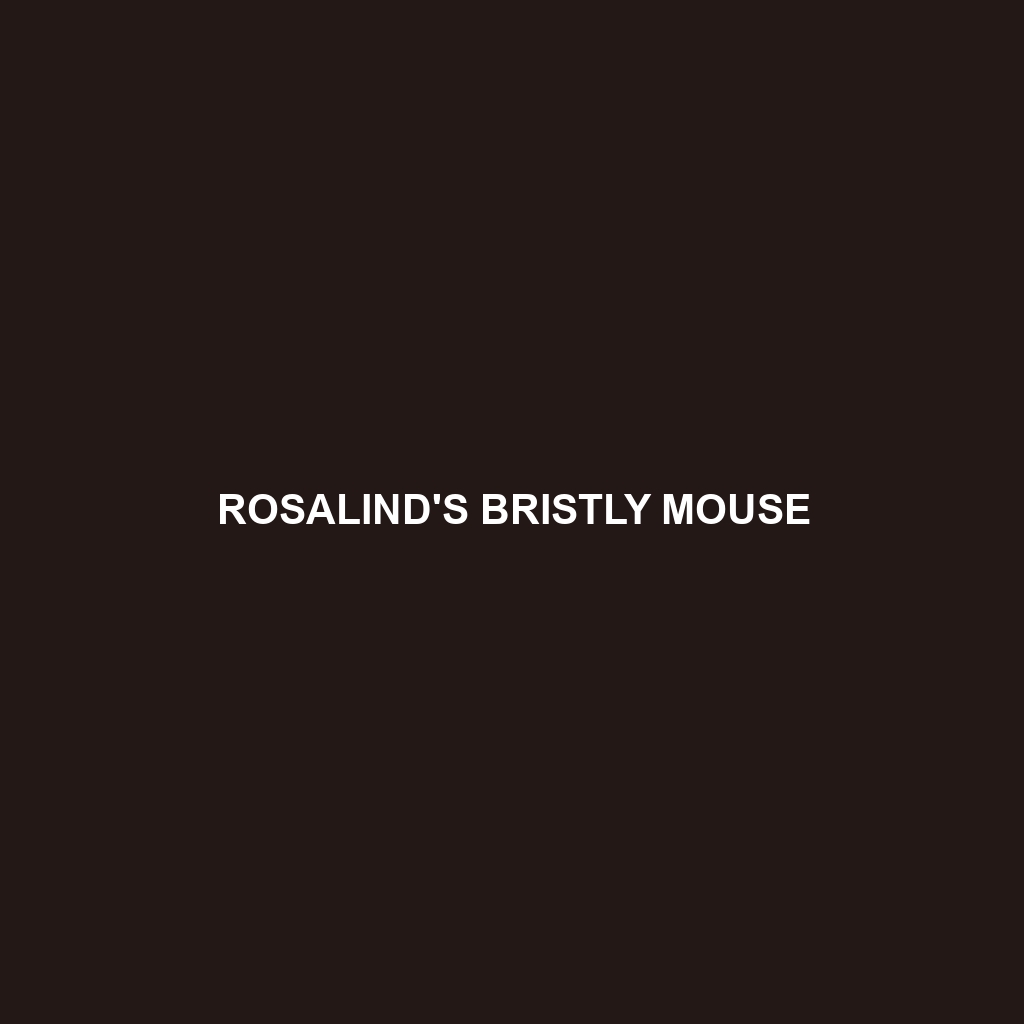 Rosalind's Bristly Mouse