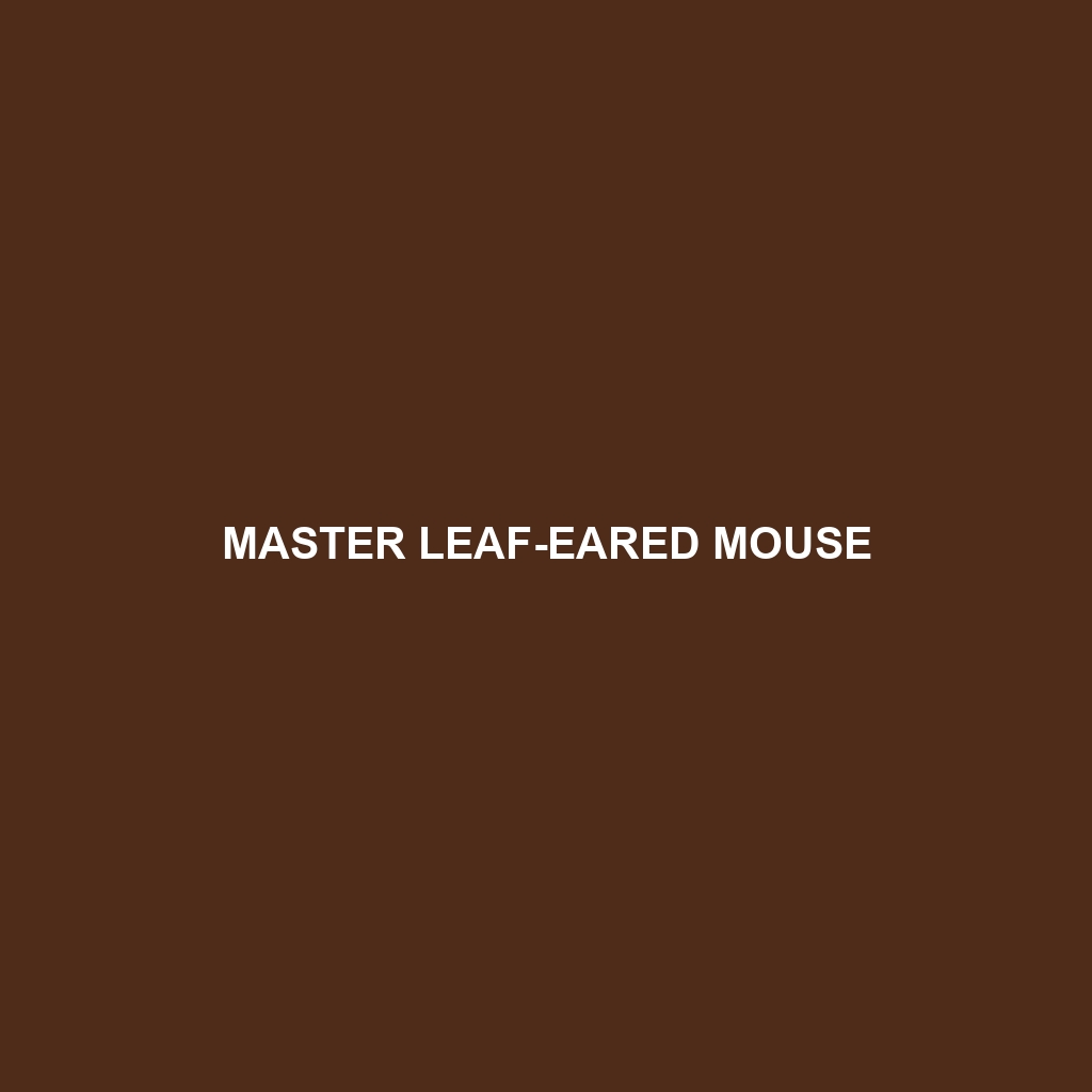 Master Leaf-eared Mouse