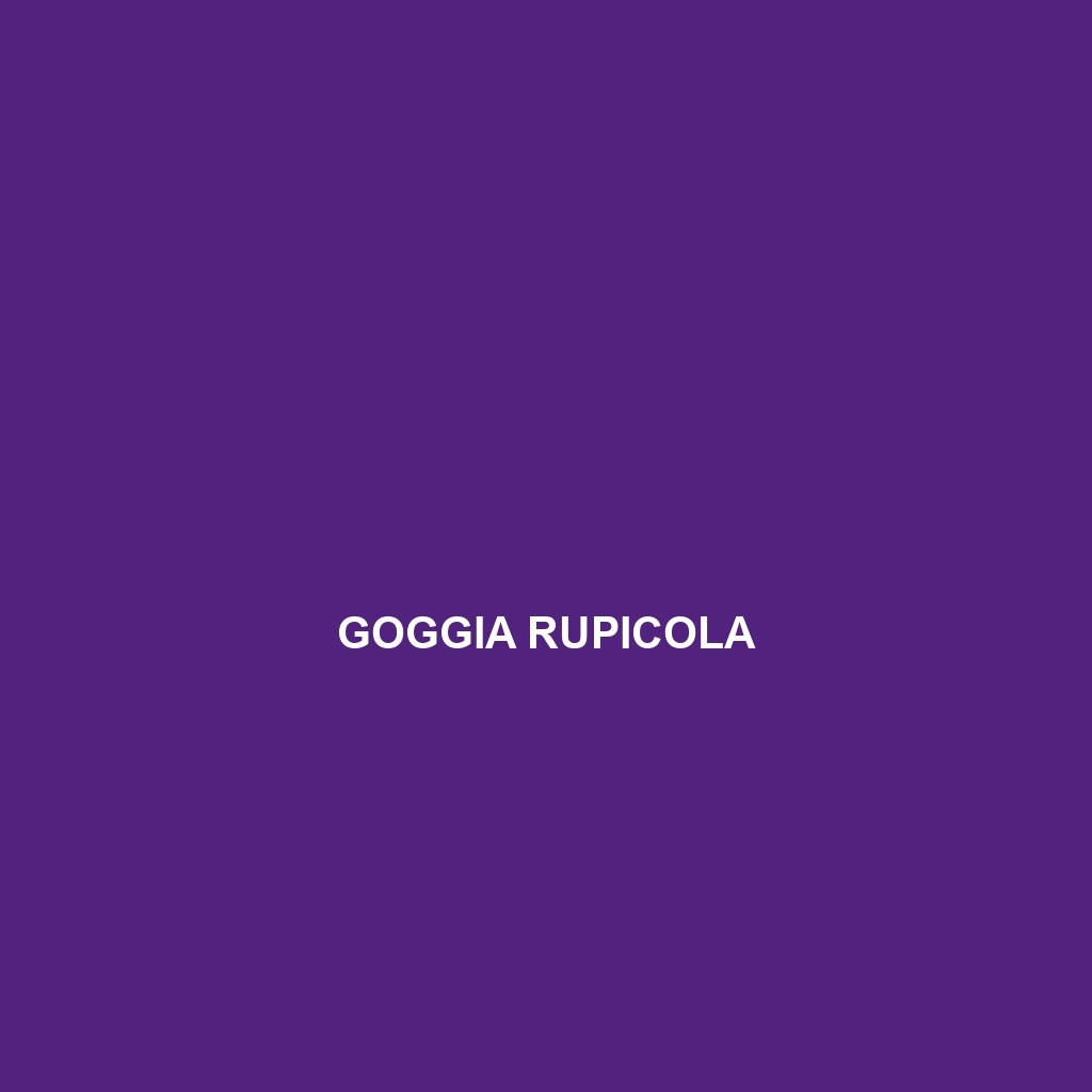 Goggia rupicola