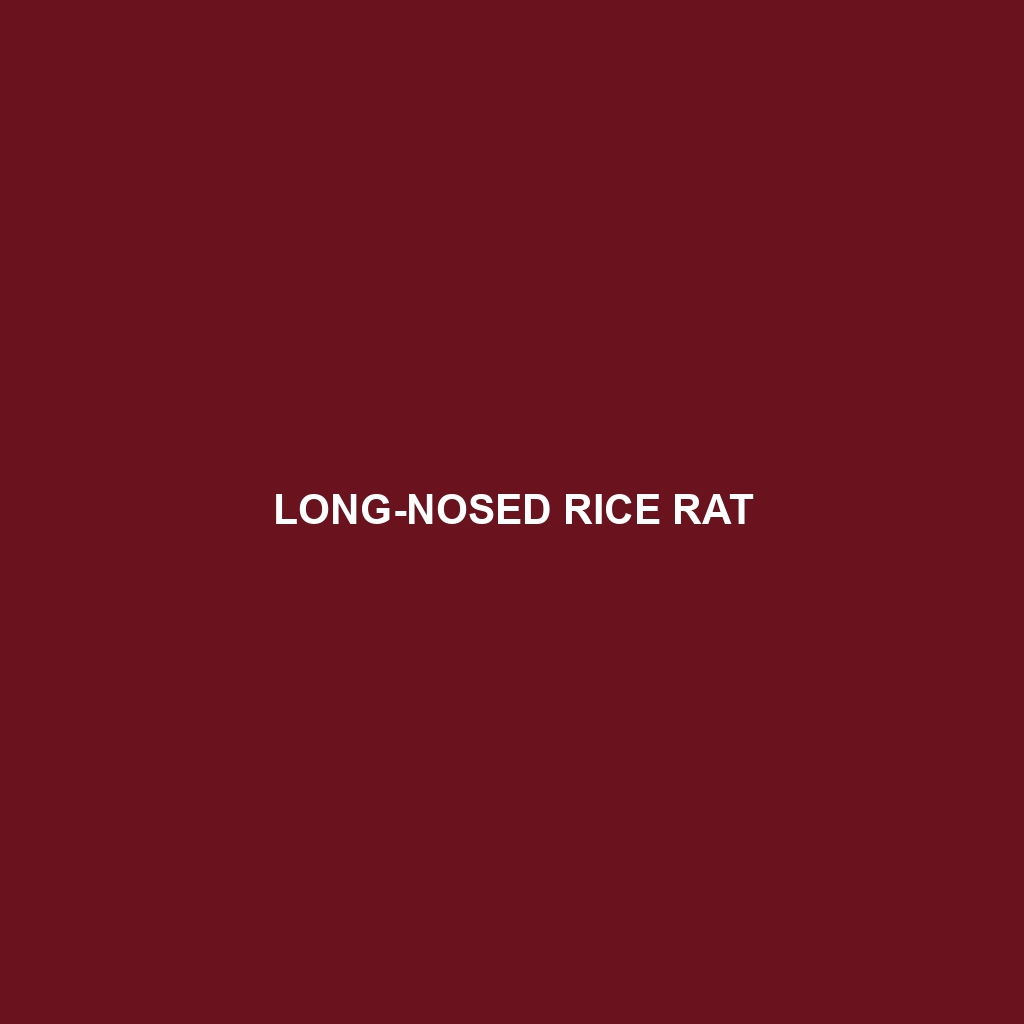 Long-nosed Rice Rat