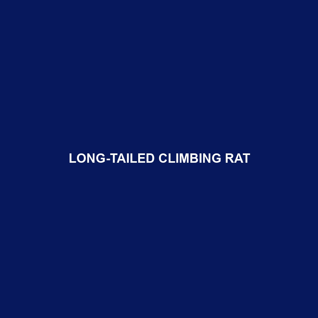 Long-tailed Climbing Rat