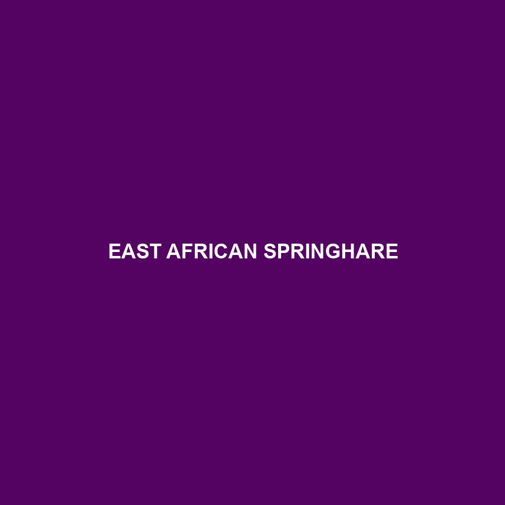 East African Springhare