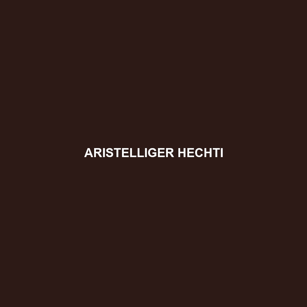 Aristelliger hechti