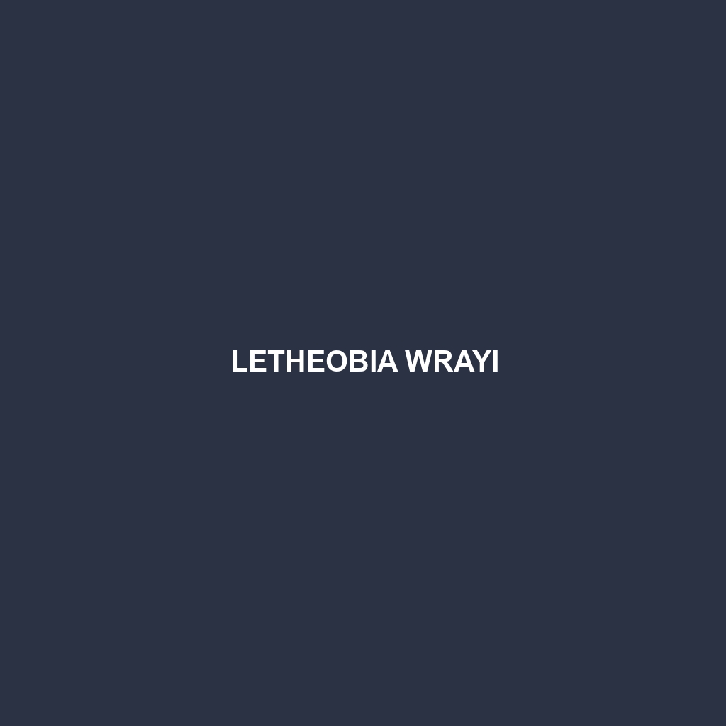 Letheobia wrayi