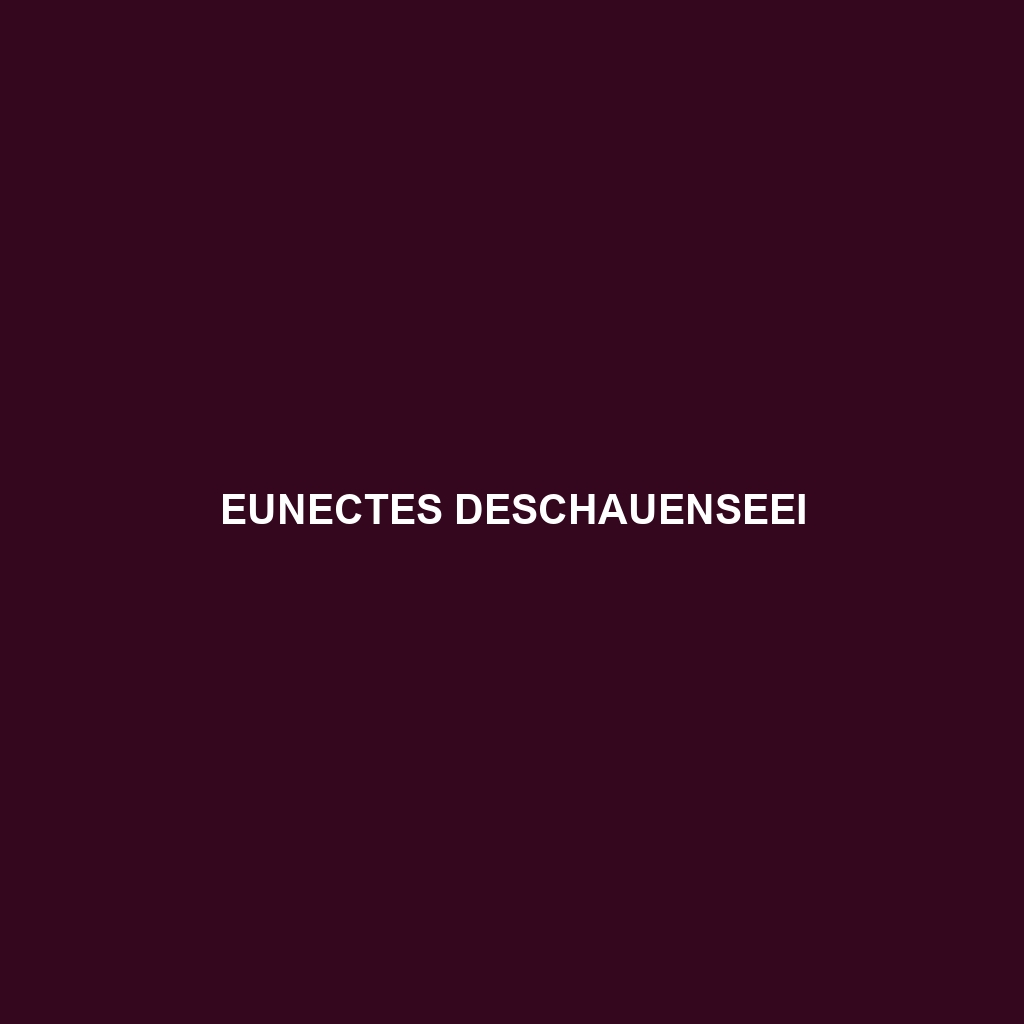 Eunectes deschauenseei