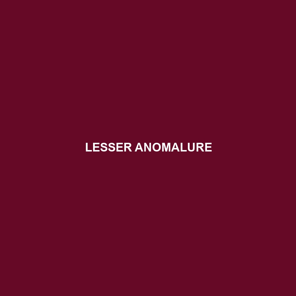 Lesser Anomalure