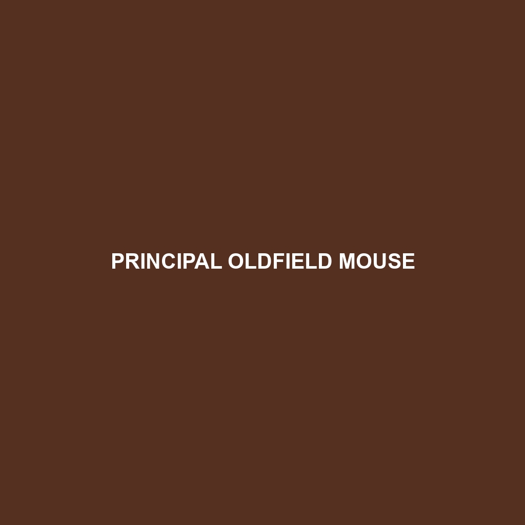 Principal Oldfield Mouse