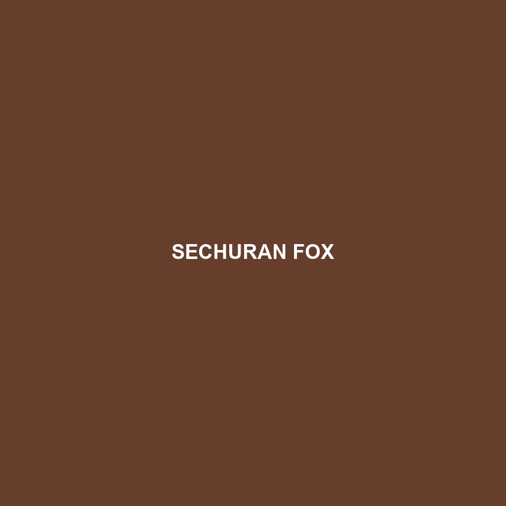 Sechuran Fox