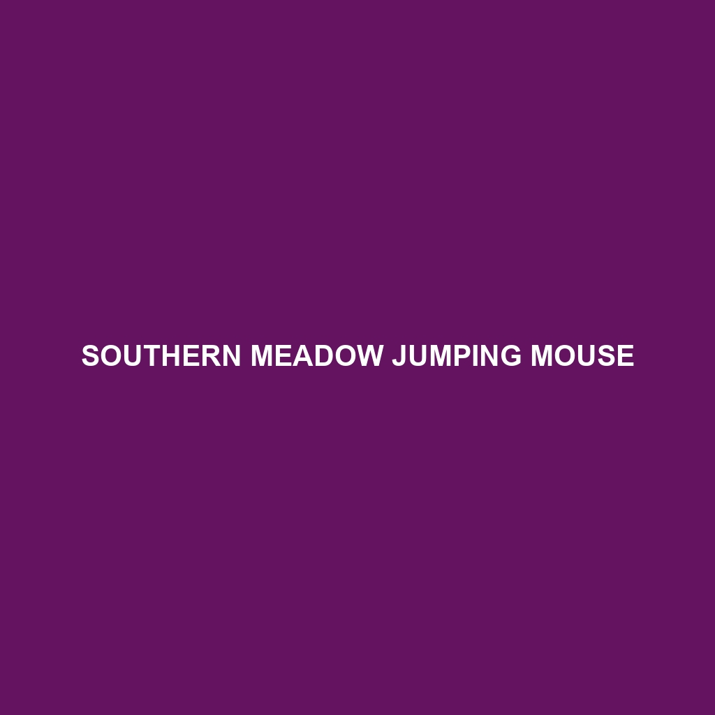 Southern Meadow Jumping Mouse