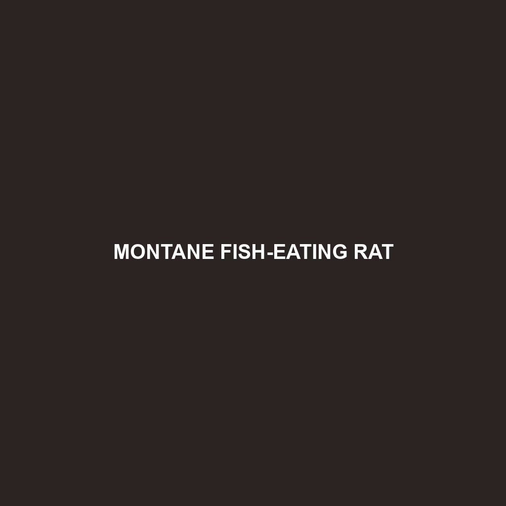 Montane Fish-eating Rat