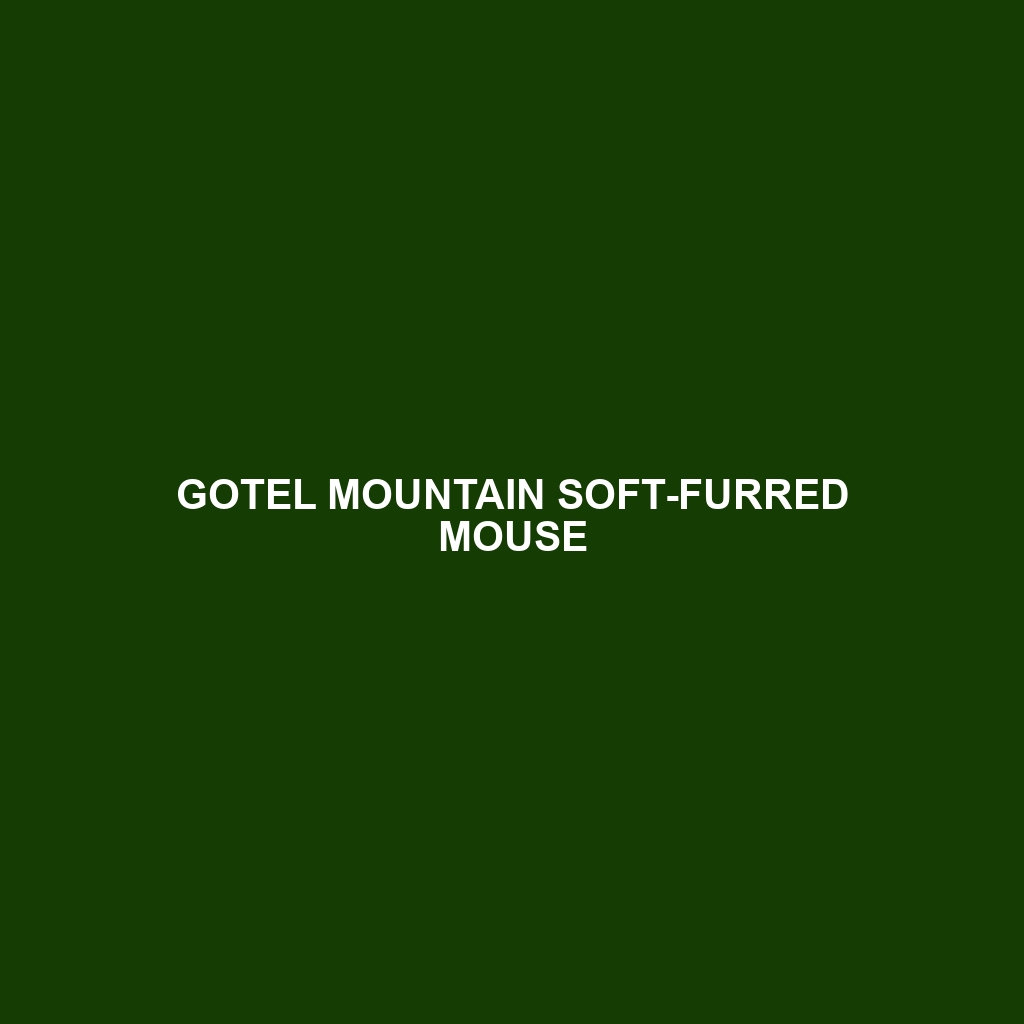 Gotel Mountain Soft-furred Mouse