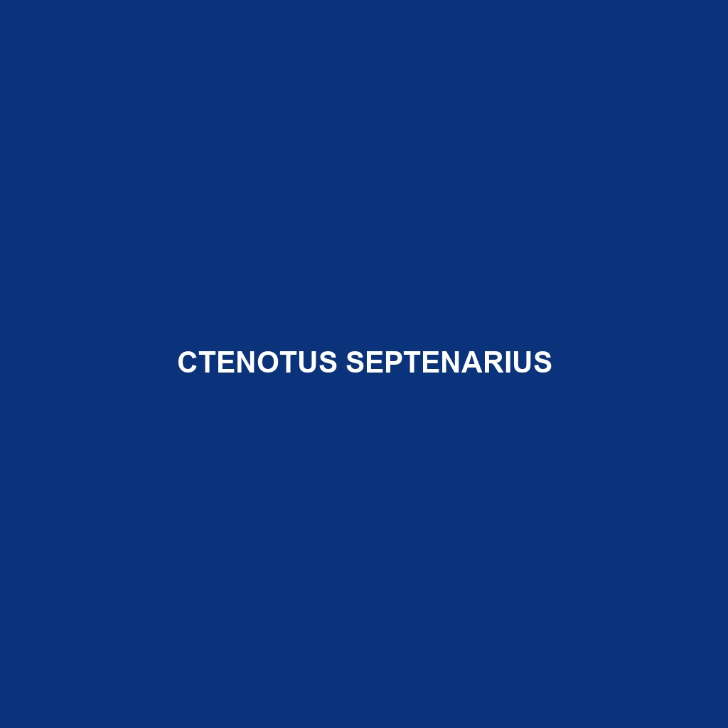 Ctenotus septenarius