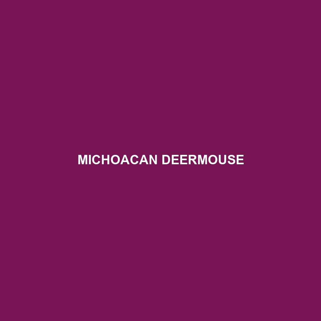 Michoacan Deermouse