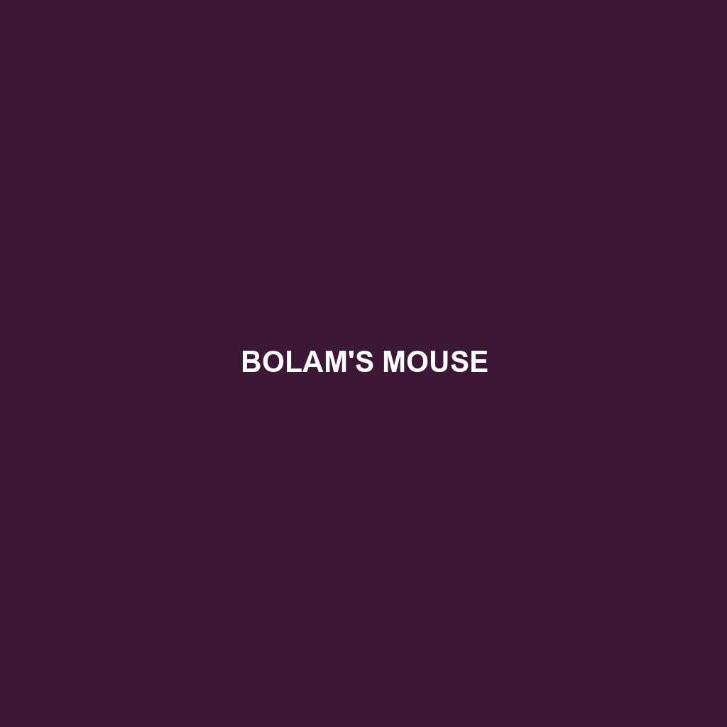 Bolam's Mouse