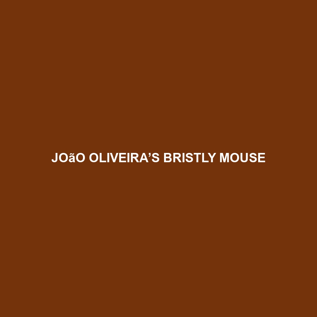 João Oliveira’s Bristly Mouse