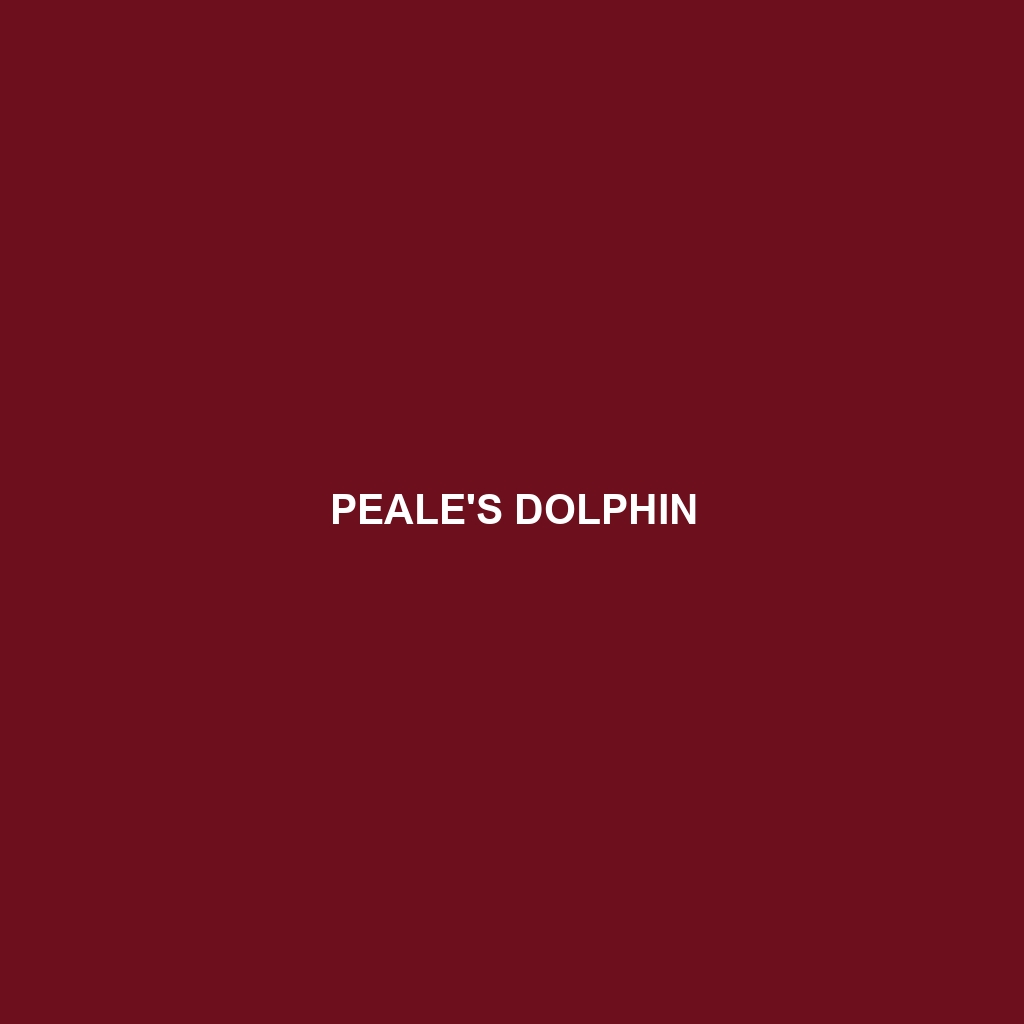 Peale's Dolphin