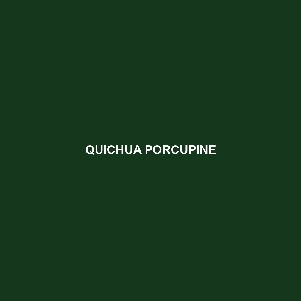 Quichua Porcupine