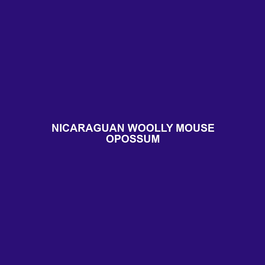 Nicaraguan Woolly Mouse Opossum