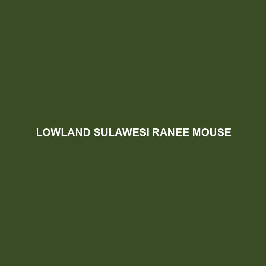 Lowland Sulawesi Ranee Mouse