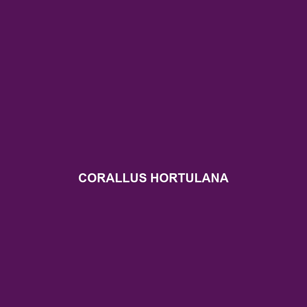 Corallus hortulana