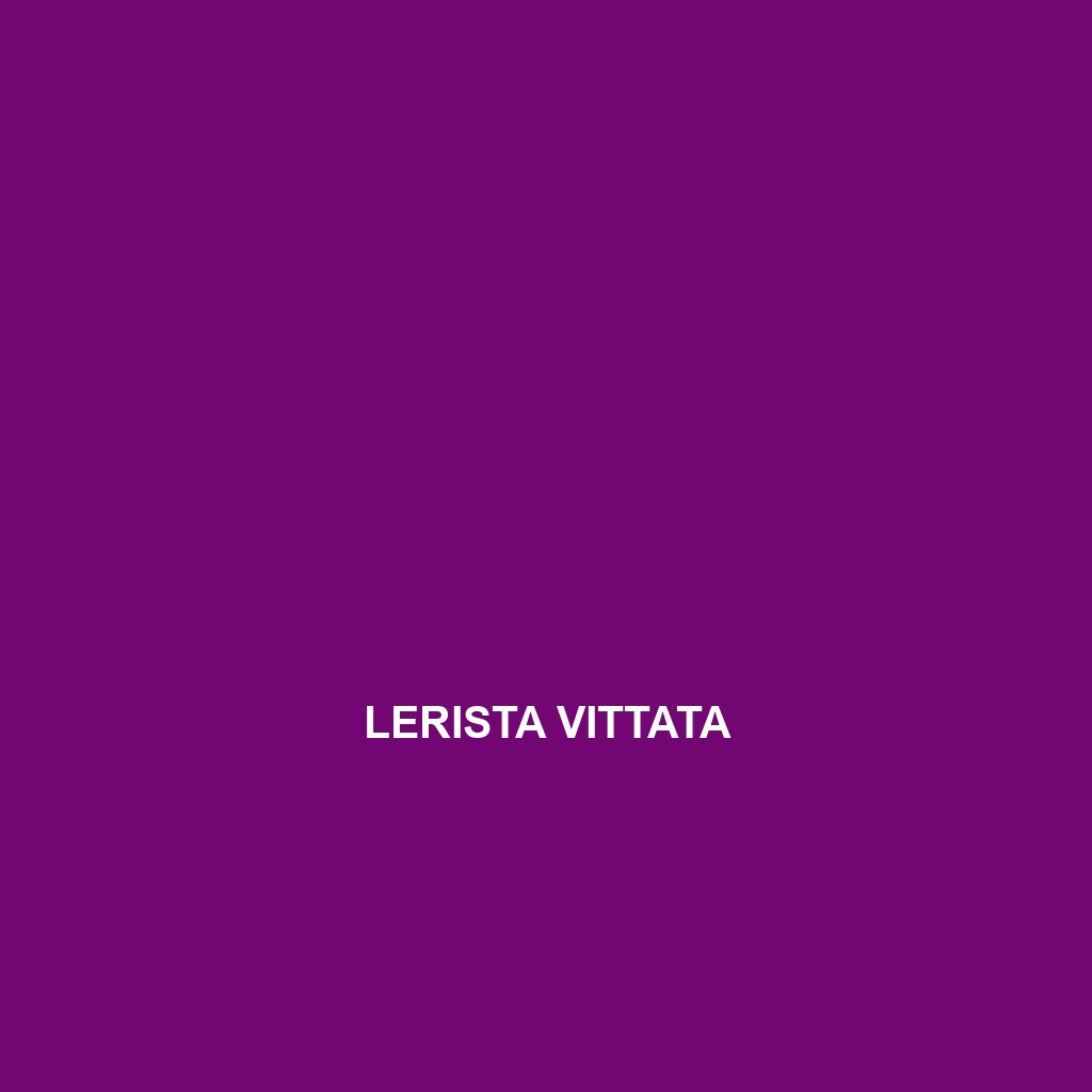 Lerista vittata