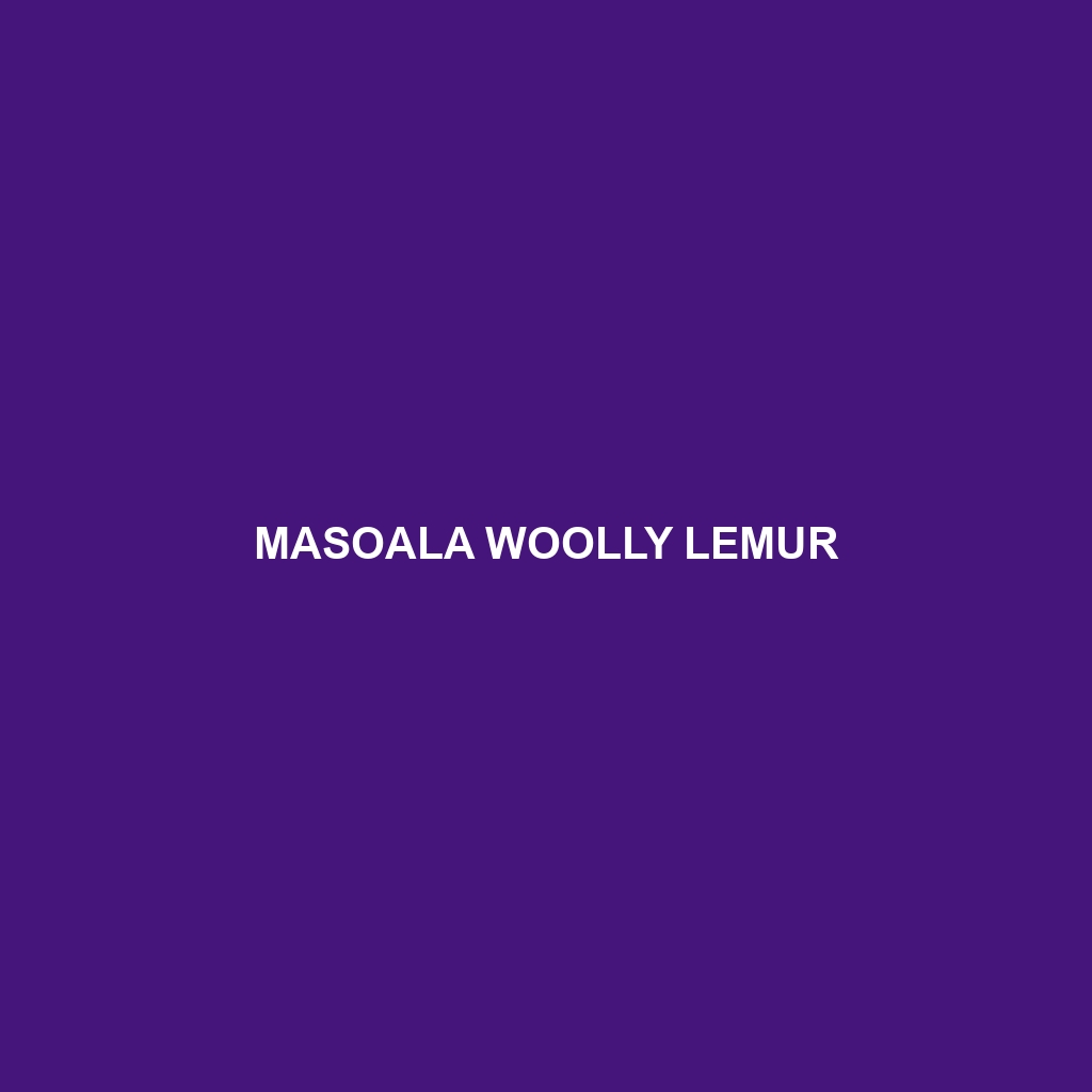 Masoala Woolly Lemur