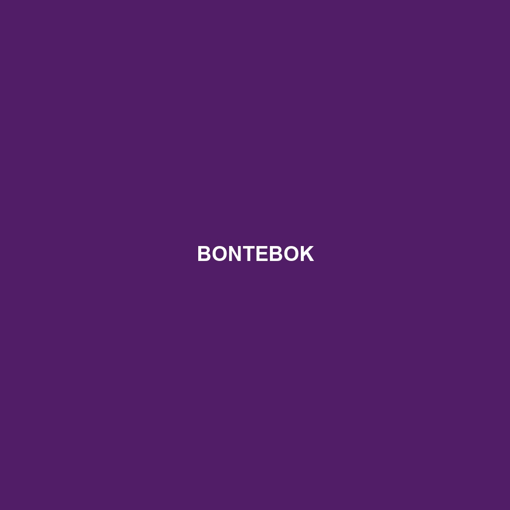 Bontebok