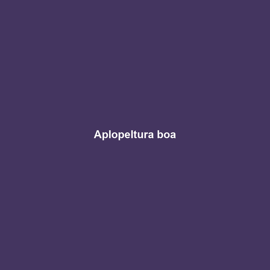 Aplopeltura boa