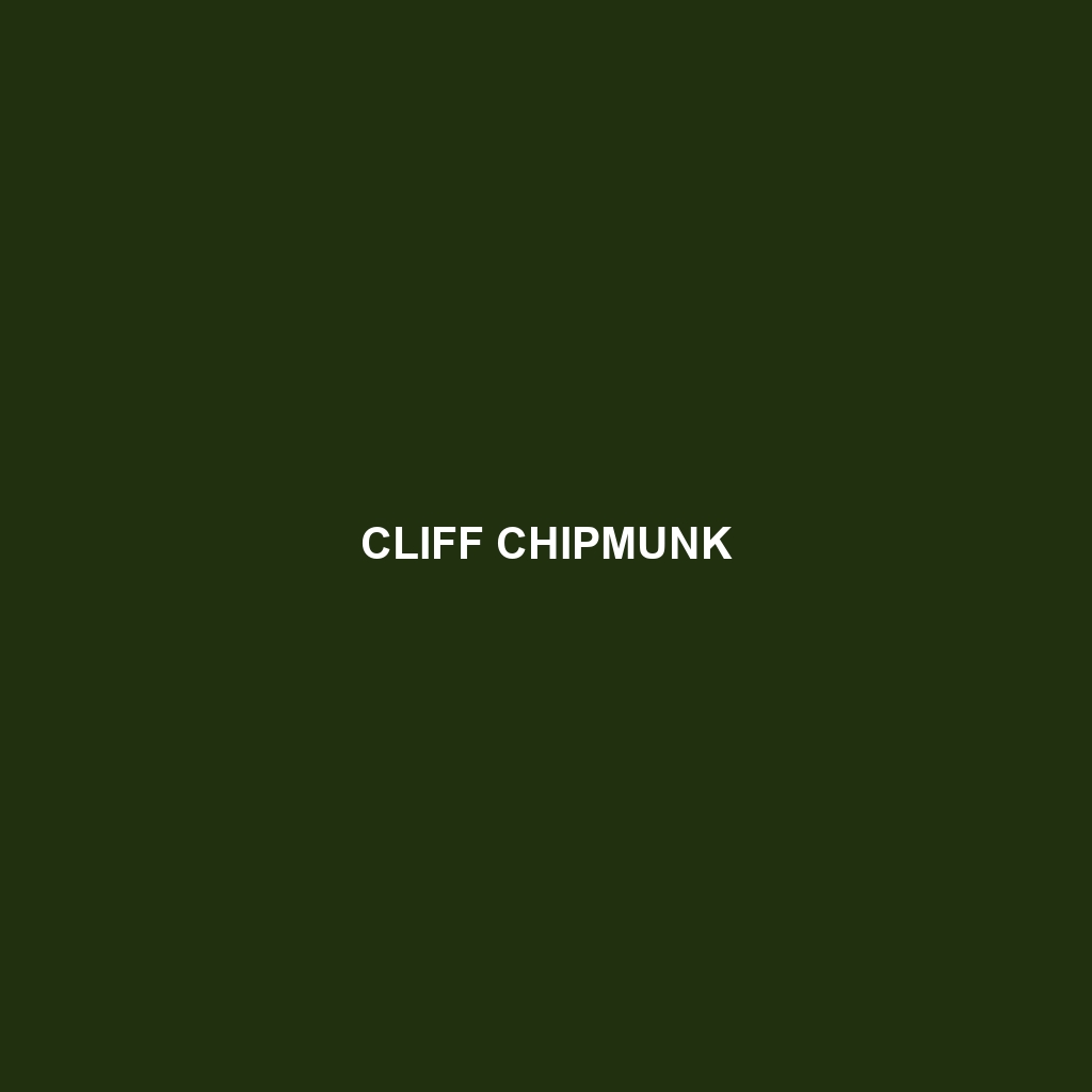 Cliff Chipmunk