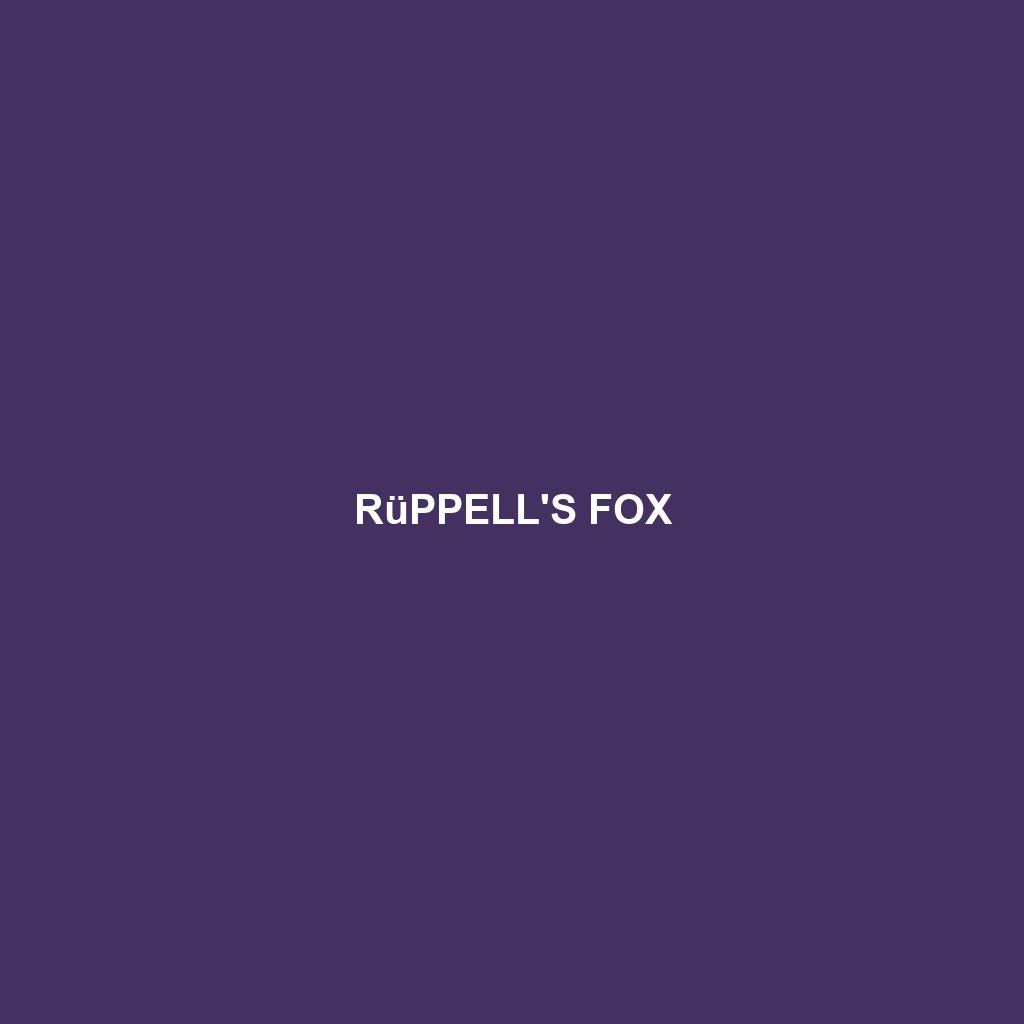 Rüppell's Fox