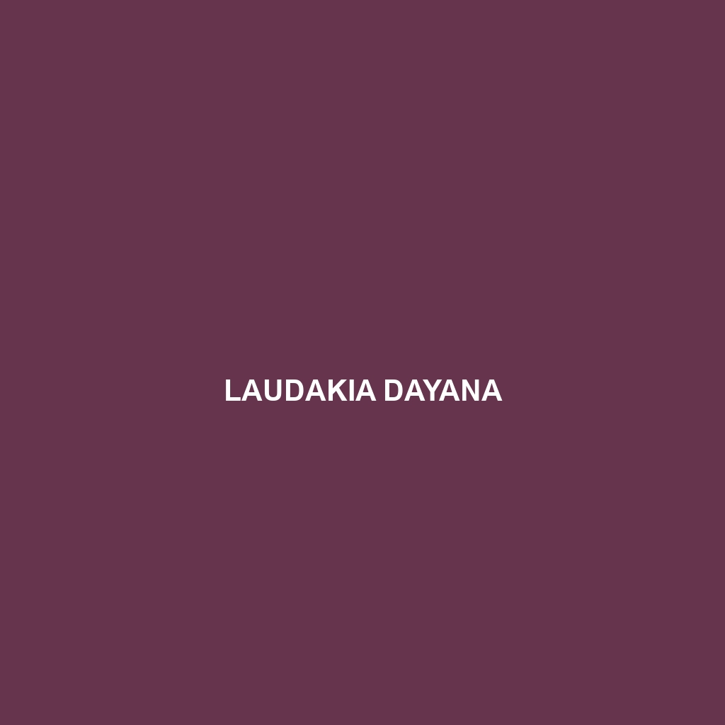 Laudakia dayana