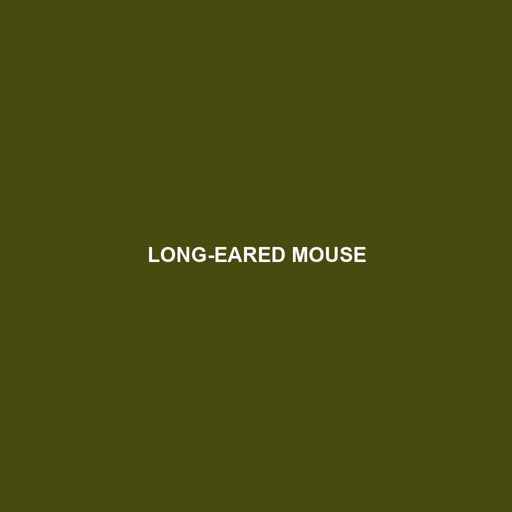 Long-eared Mouse