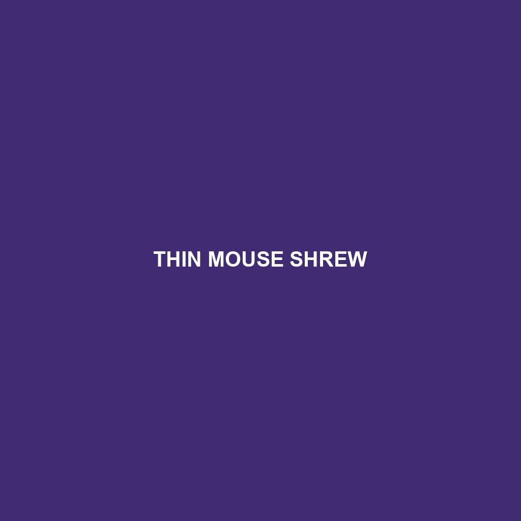 Thin Mouse Shrew