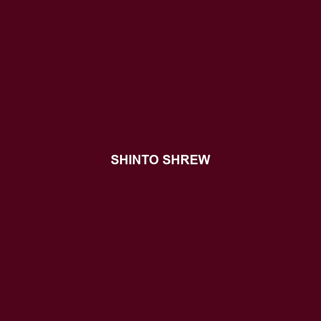 Shinto Shrew