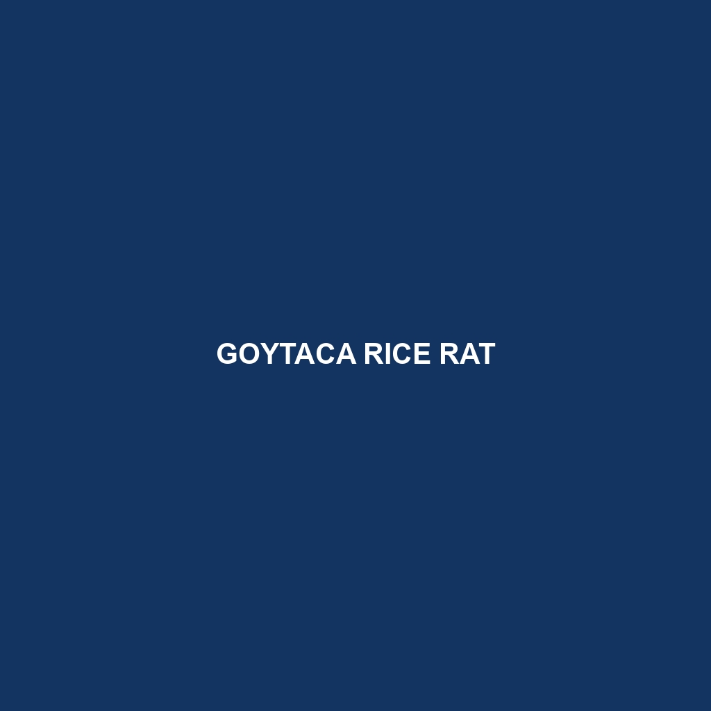 Goytaca Rice Rat