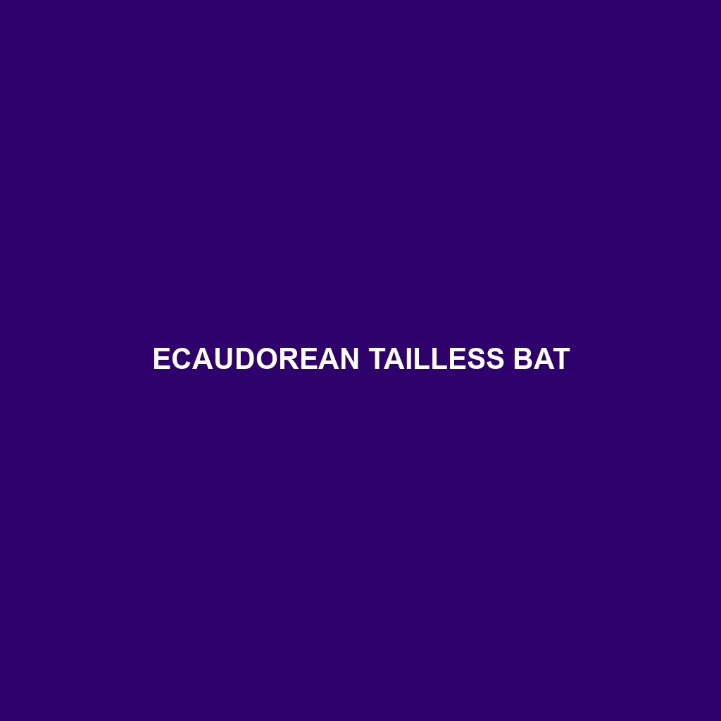 Ecaudorean Tailless Bat