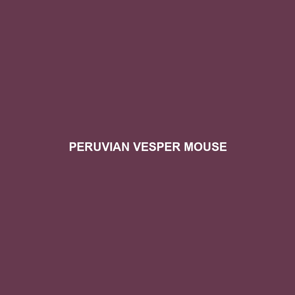 Peruvian Vesper Mouse