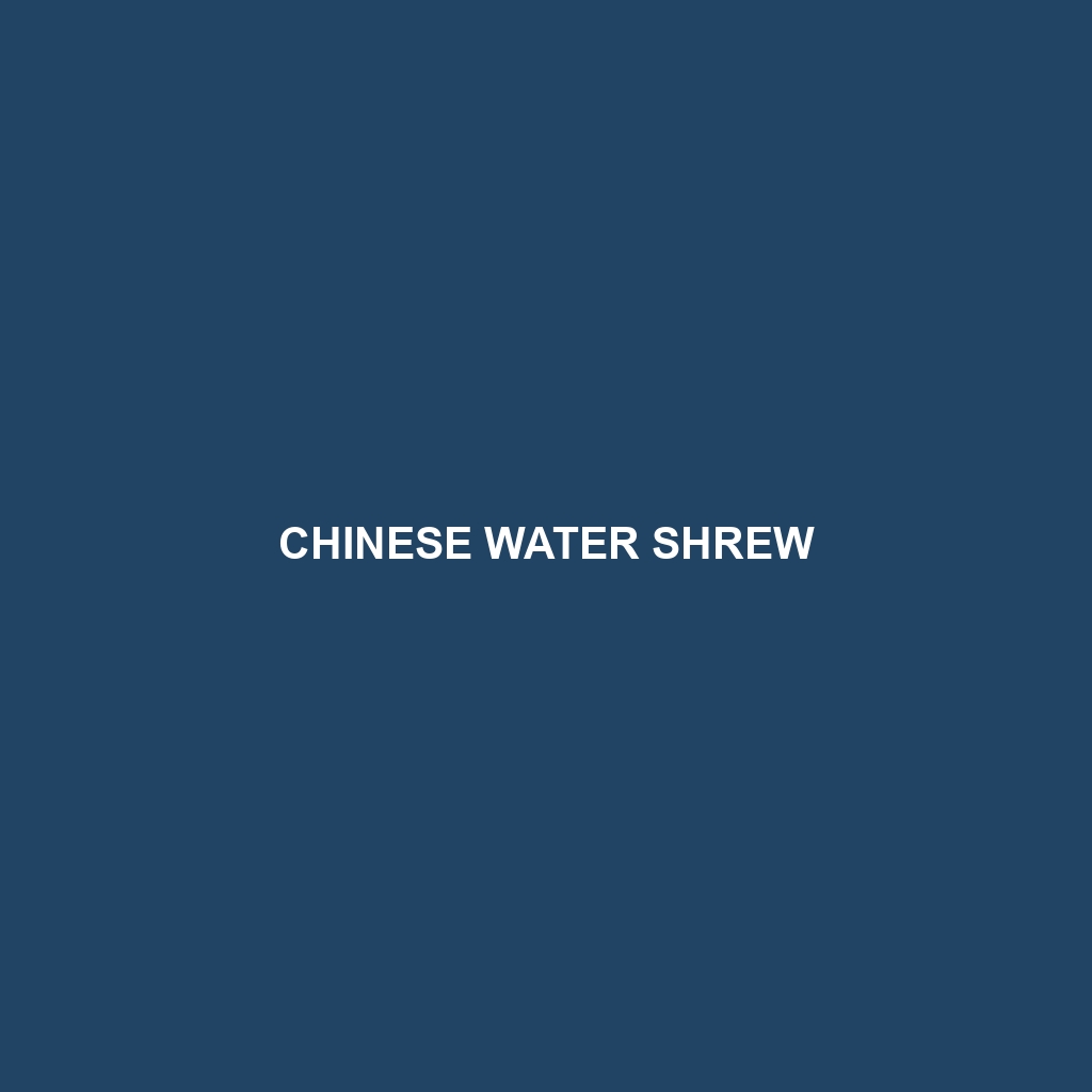 Chinese Water Shrew