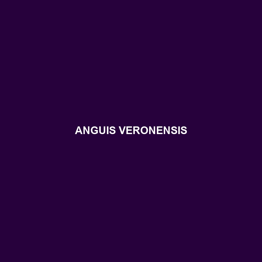 Anguis veronensis