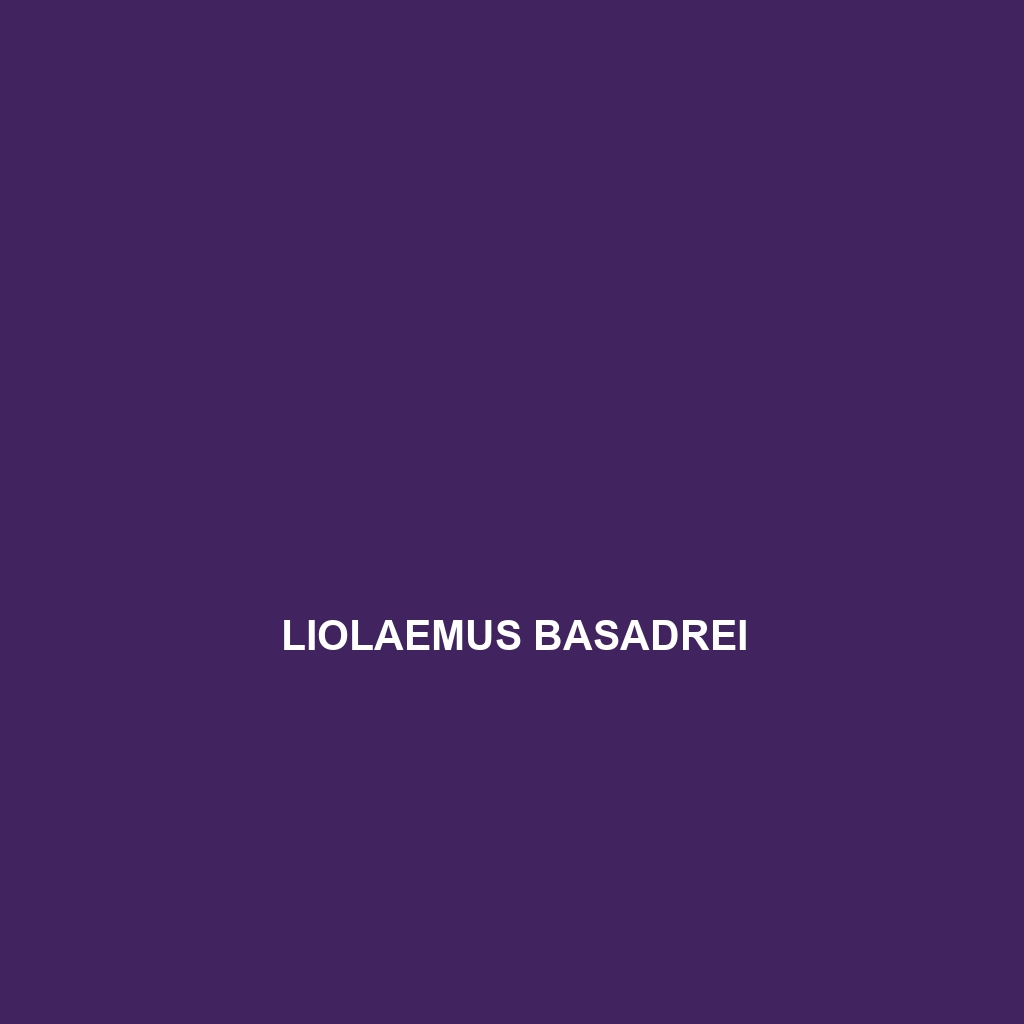 Liolaemus basadrei