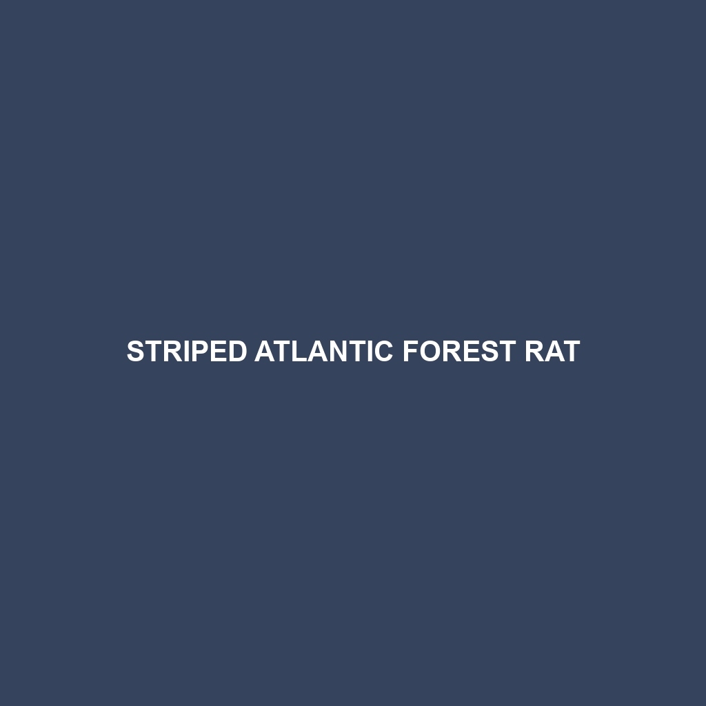 Striped Atlantic Forest Rat