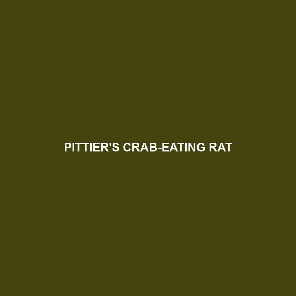 Pittier's Crab-eating Rat