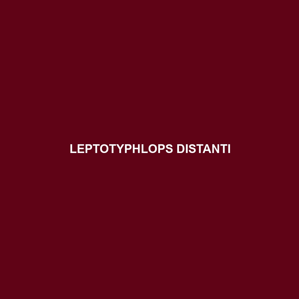 Leptotyphlops distanti