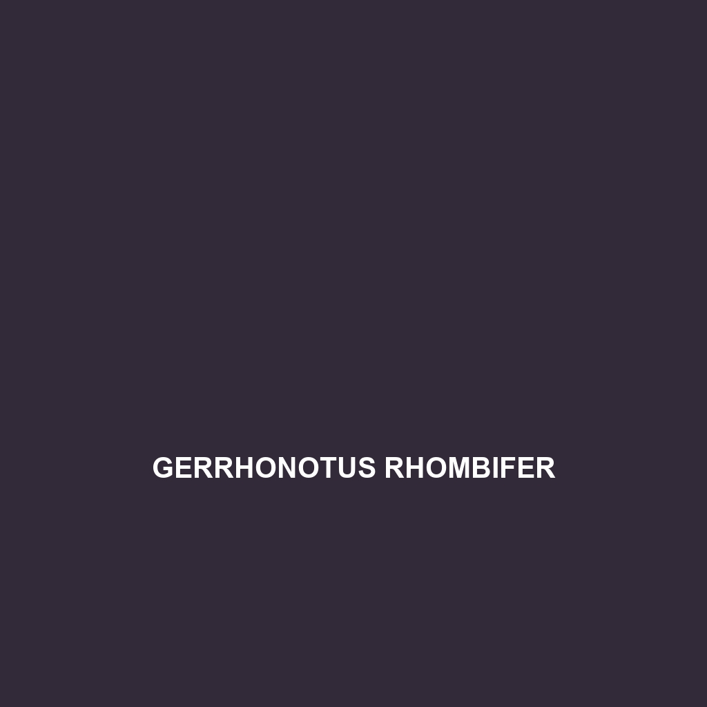 Gerrhonotus rhombifer