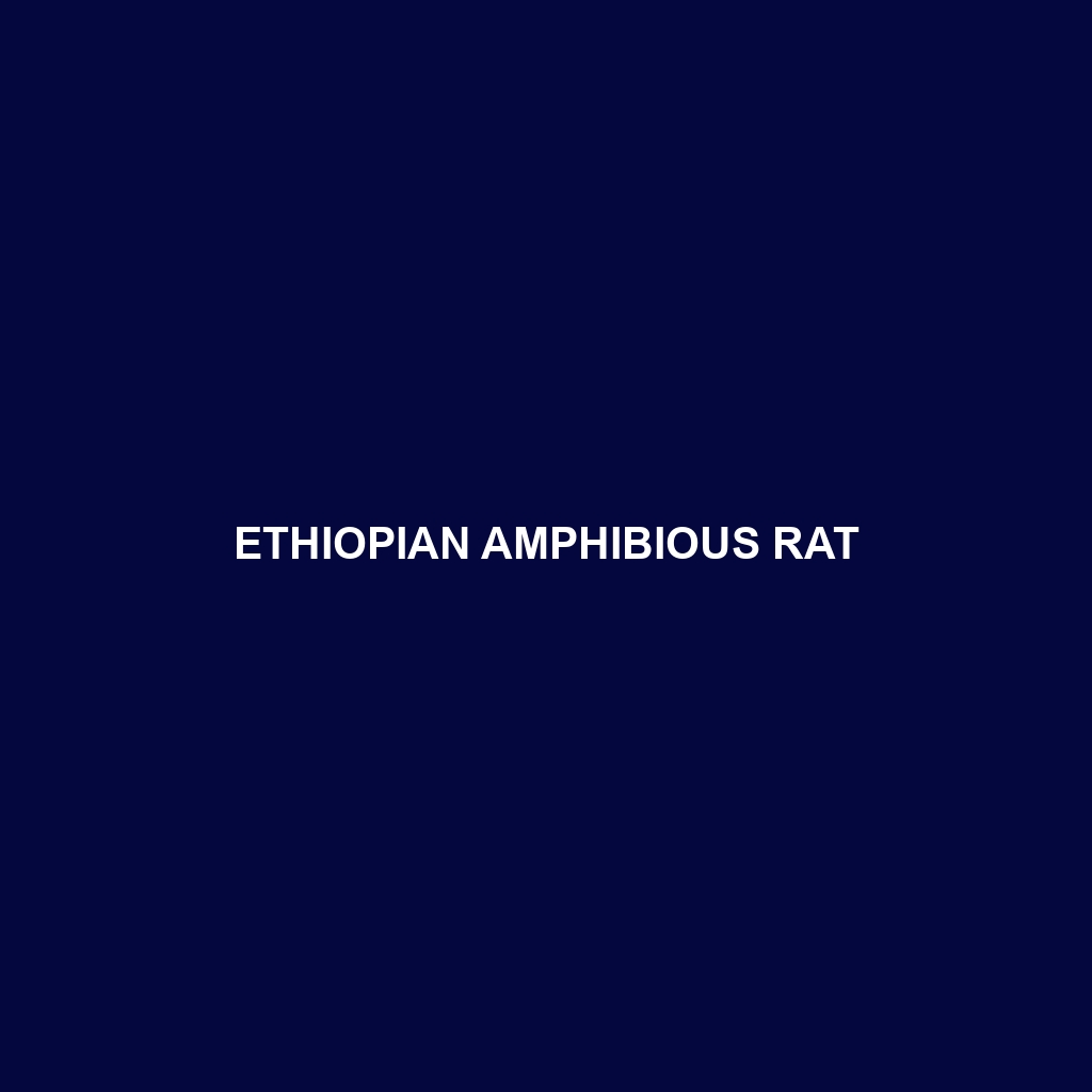 Ethiopian Amphibious Rat