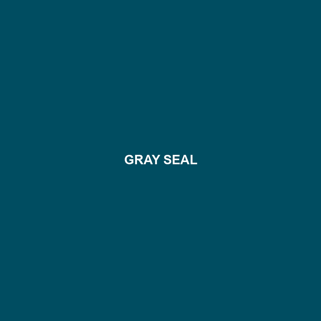 Gray Seal